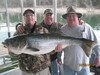 (03/09/2018) - Nice Striped Bass